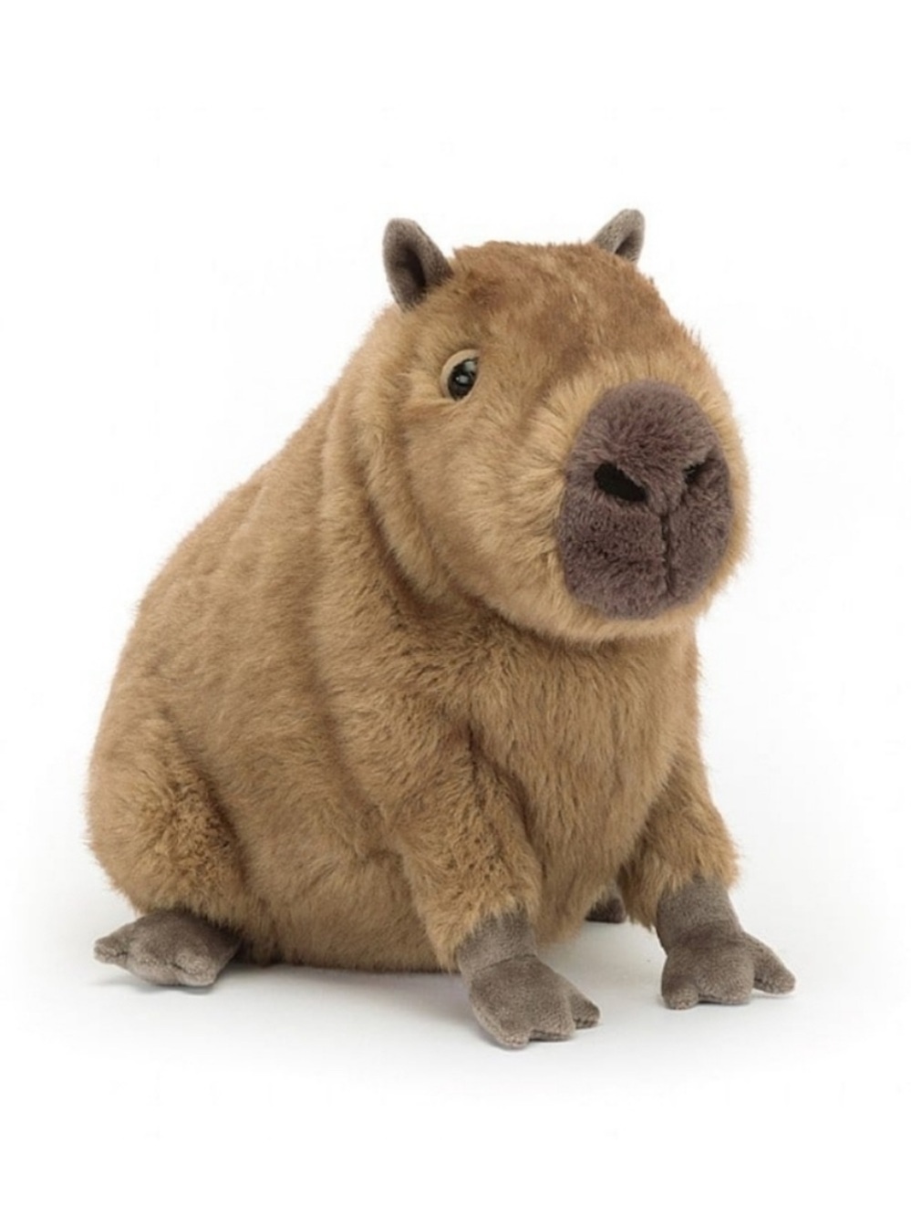 Jellycat Clyde Capybara 8x9" Soft & Plush NWT